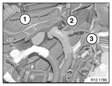 Engine Wiring Loom